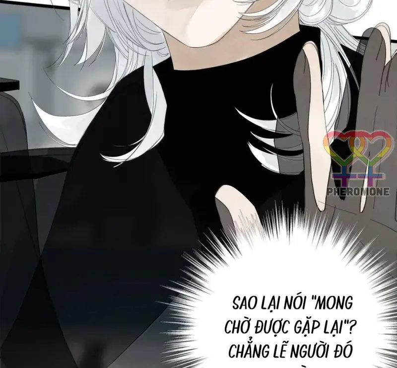 Tả Anh Tiểu Thư Chapter 27 - Trang 11