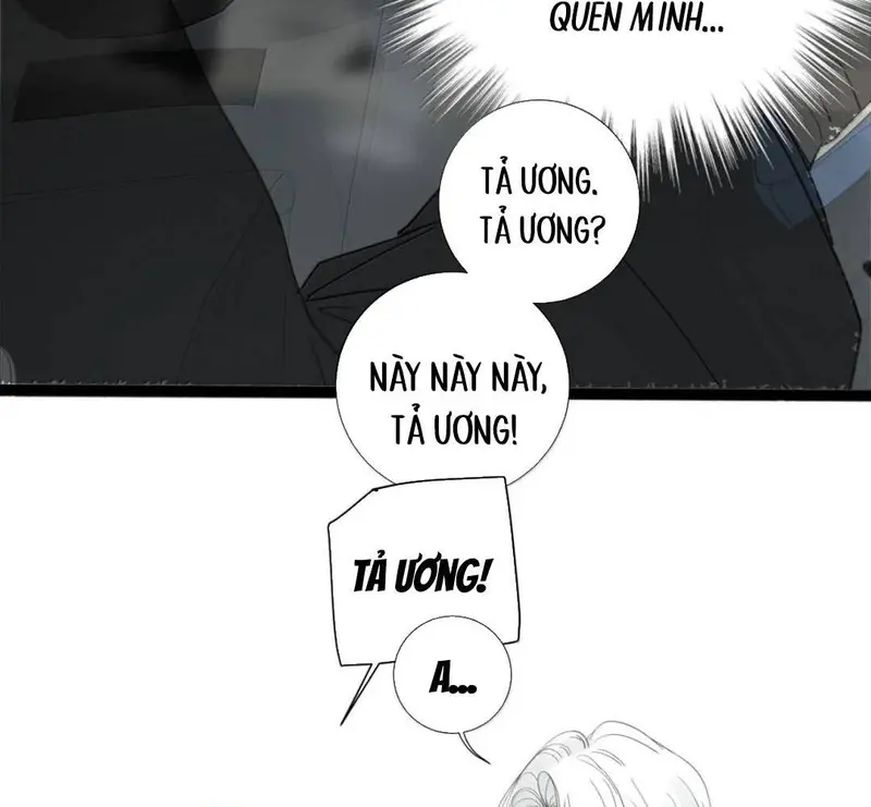 Tả Anh Tiểu Thư Chapter 27 - Trang 12
