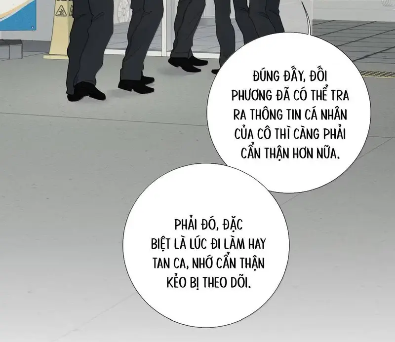 Tả Anh Tiểu Thư Chapter 27 - Trang 15