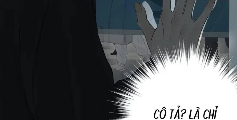Tả Anh Tiểu Thư Chapter 27 - Trang 9