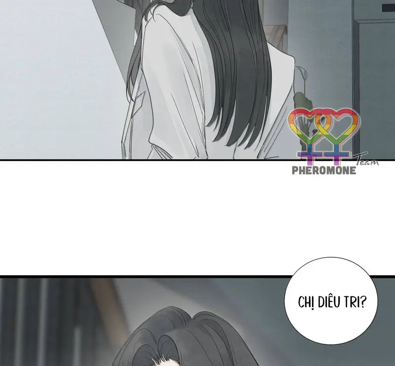 Tả Anh Tiểu Thư Chapter 28 - Trang 15