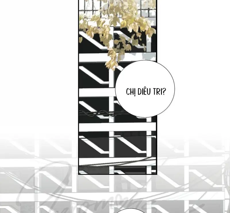 Tả Anh Tiểu Thư Chapter 28 - Trang 32