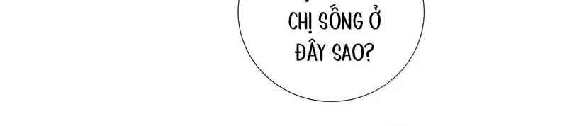 Tả Anh Tiểu Thư Chapter 28 - Trang 37