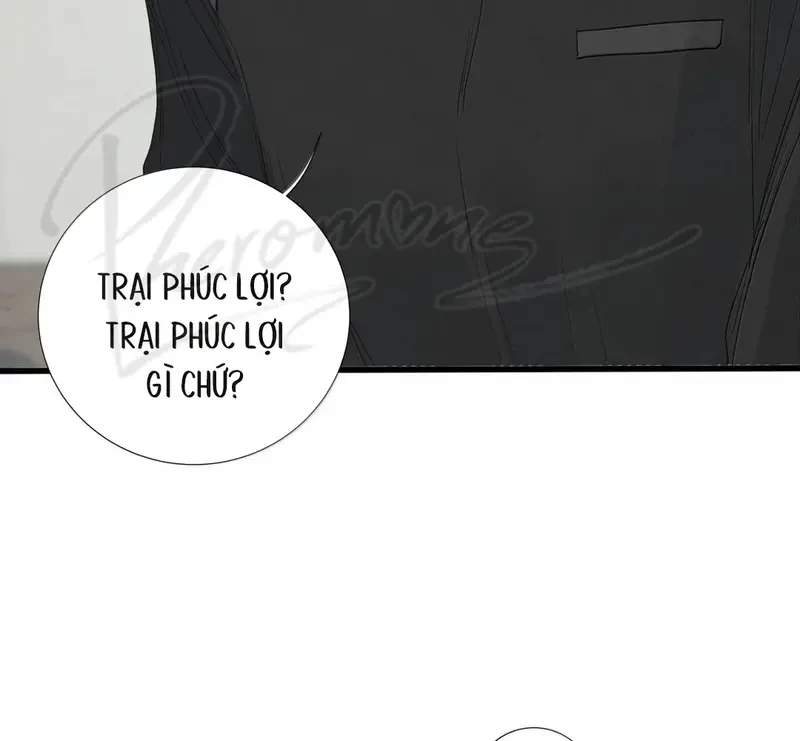 Tả Anh Tiểu Thư Chapter 29 - Trang 47
