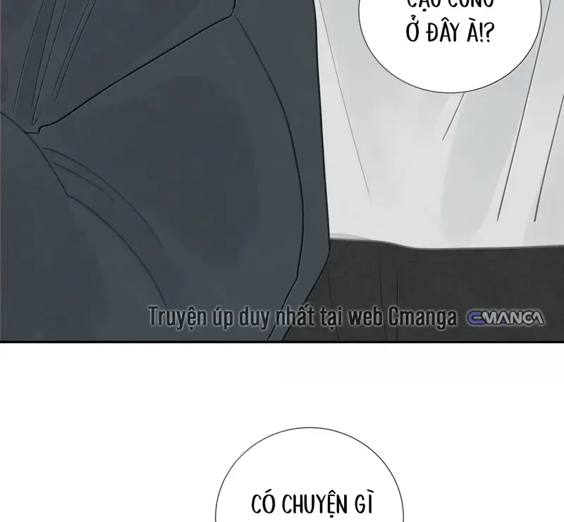 Tả Anh Tiểu Thư Chapter 30 - Trang 22