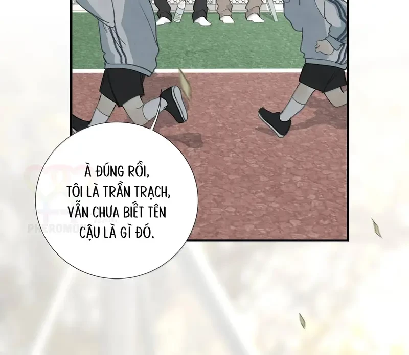 Tả Anh Tiểu Thư Chapter 30 - Trang 33