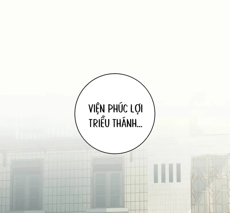 Tả Anh Tiểu Thư Chapter 32 - Trang 6