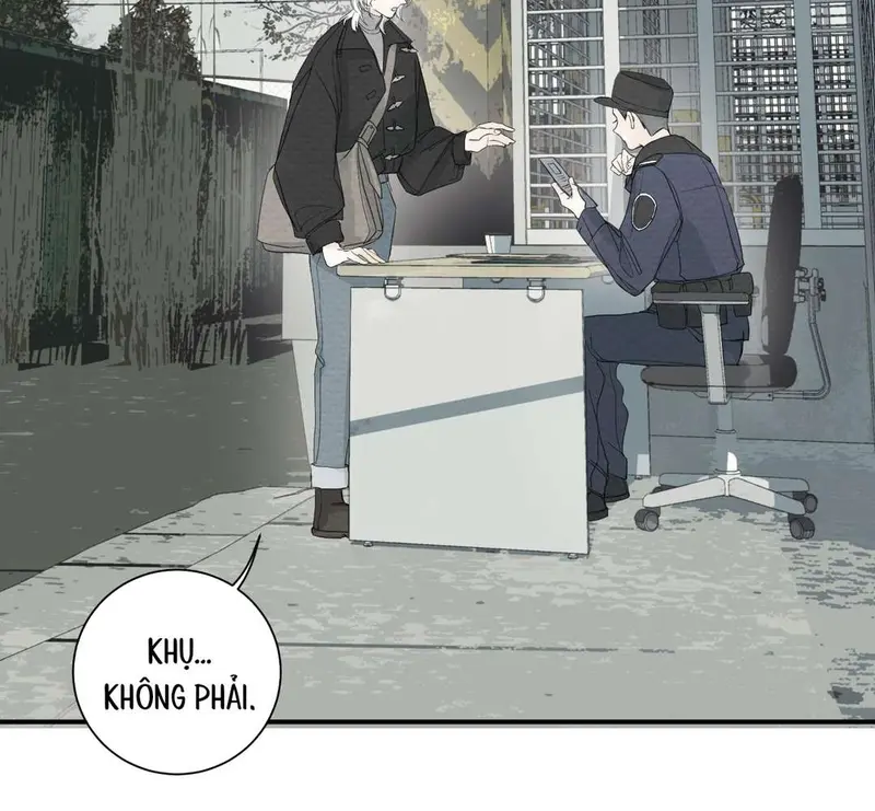 Tả Anh Tiểu Thư Chapter 4 - Trang 13