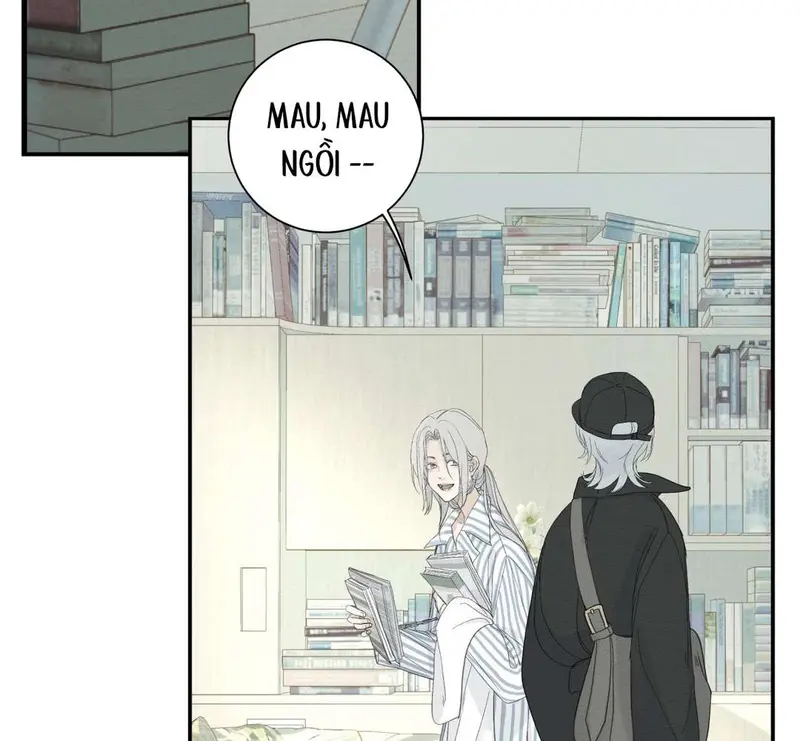 Tả Anh Tiểu Thư Chapter 5 - Trang 11