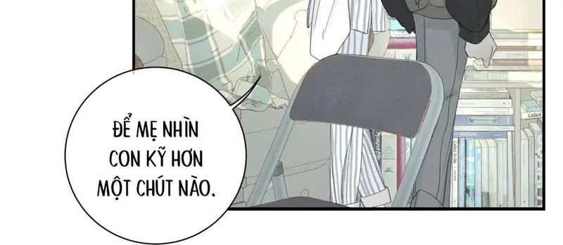 Tả Anh Tiểu Thư Chapter 5 - Trang 12