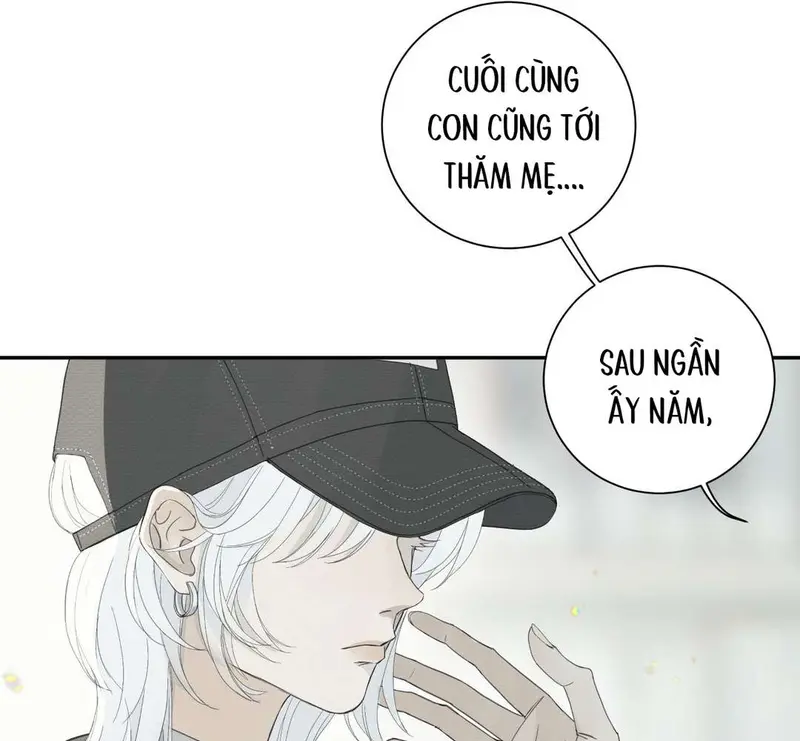 Tả Anh Tiểu Thư Chapter 5 - Trang 4