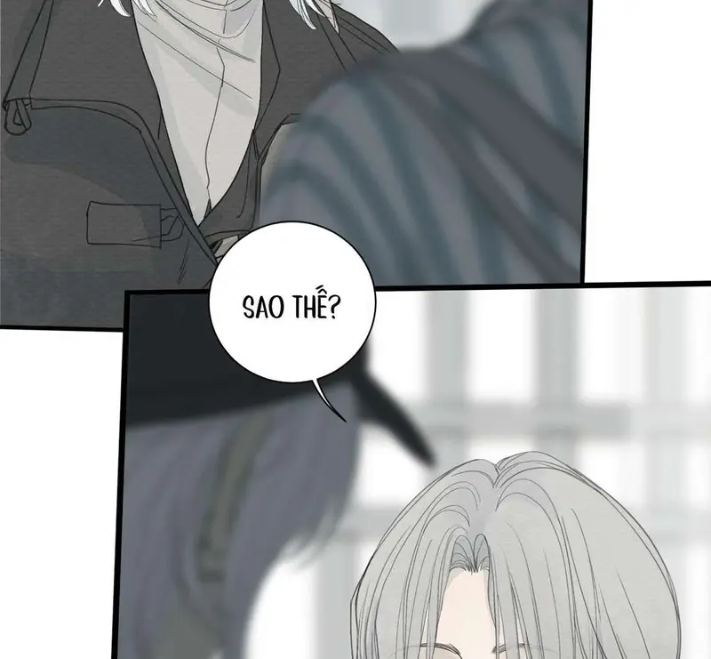 Tả Anh Tiểu Thư Chapter 7 - Trang 5