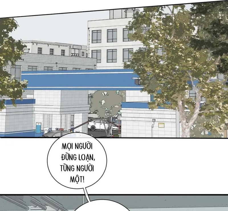 Tả Anh Tiểu Thư Chapter 8 - Trang 12