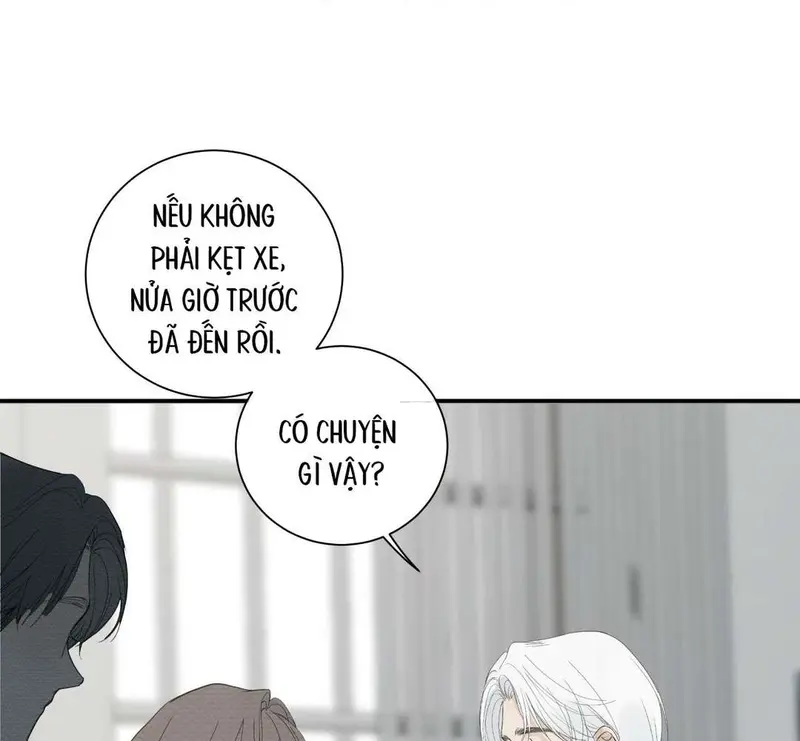 Tả Anh Tiểu Thư Chapter 8 - Trang 17