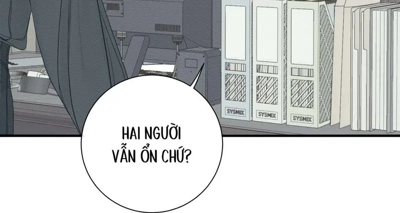 Tả Anh Tiểu Thư Chapter 9 - Trang 14