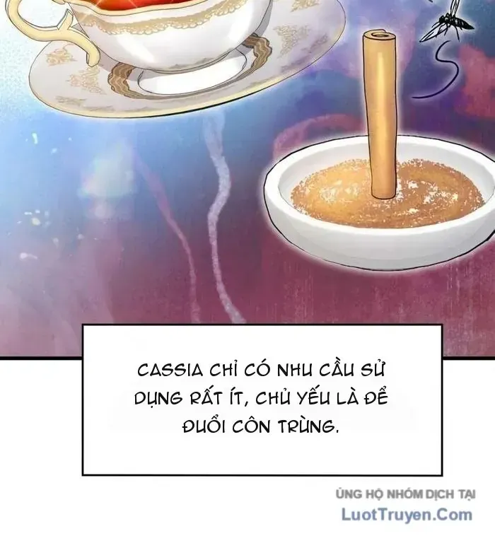 Ta Bỏ Làm Anh Hùng Để Đi Bán Coca Cola Chapter 8 - Trang 10