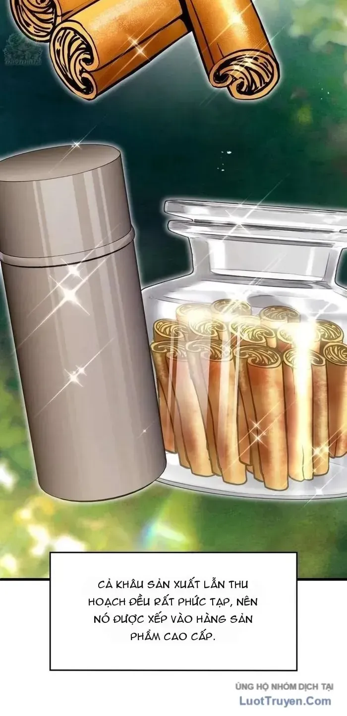 Ta Bỏ Làm Anh Hùng Để Đi Bán Coca Cola Chapter 8 - Trang 6