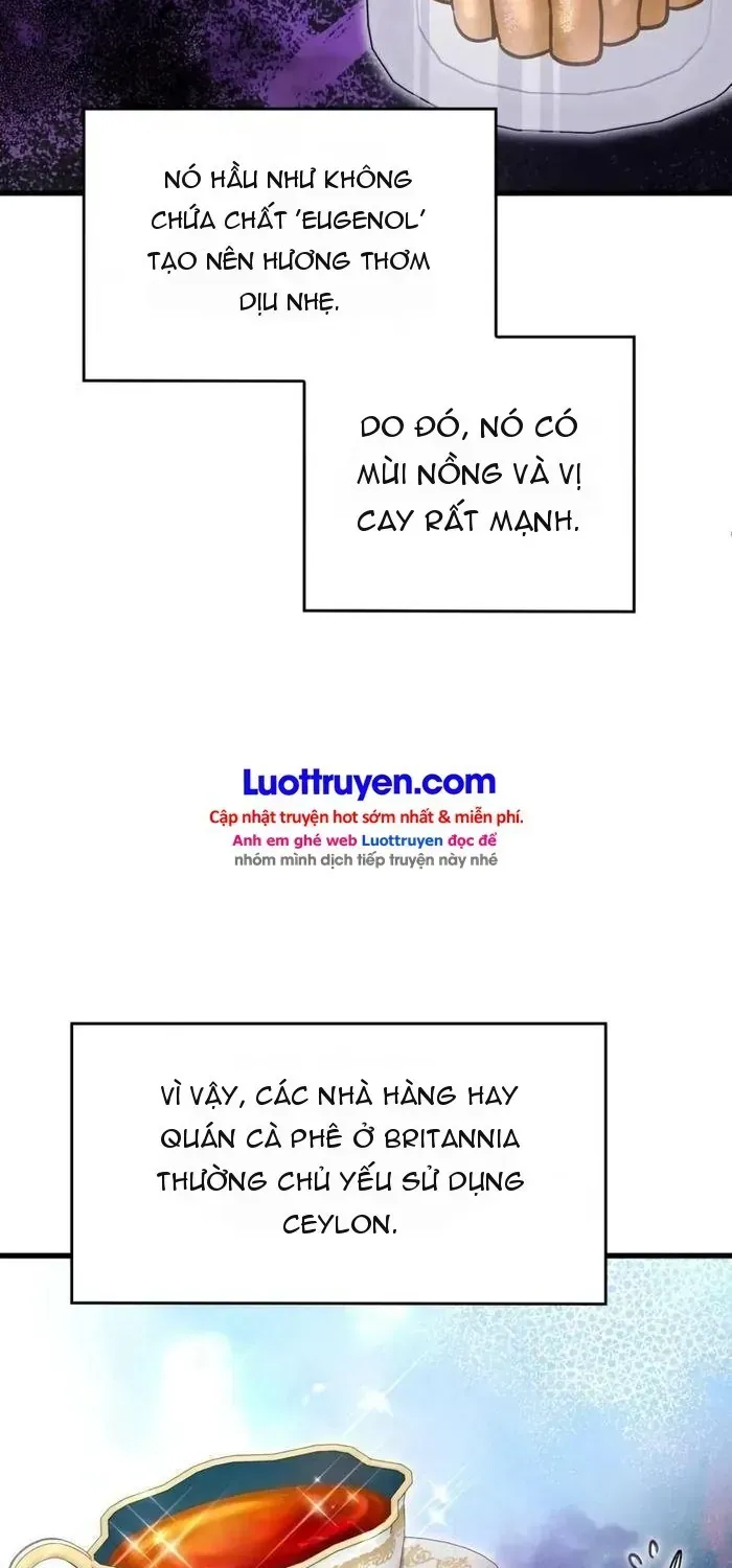 Ta Bỏ Làm Anh Hùng Để Đi Bán Coca Cola Chapter 8 - Trang 9