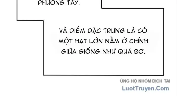 Ta Bỏ Làm Anh Hùng Để Đi Bán Coca Cola Chapter 9 - Trang 24