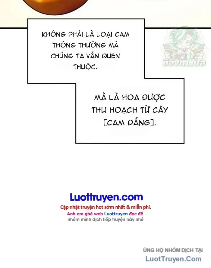 Ta Bỏ Làm Anh Hùng Để Đi Bán Coca Cola Chapter 9 - Trang 32