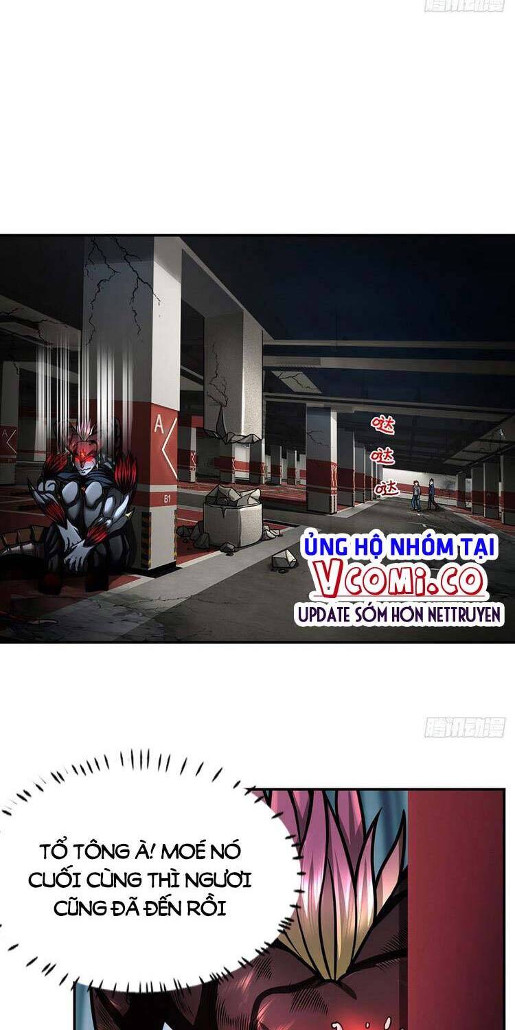 Ta Chẳng Làm Gì Cũng Vô Địch Chapter 41 - Trang 8