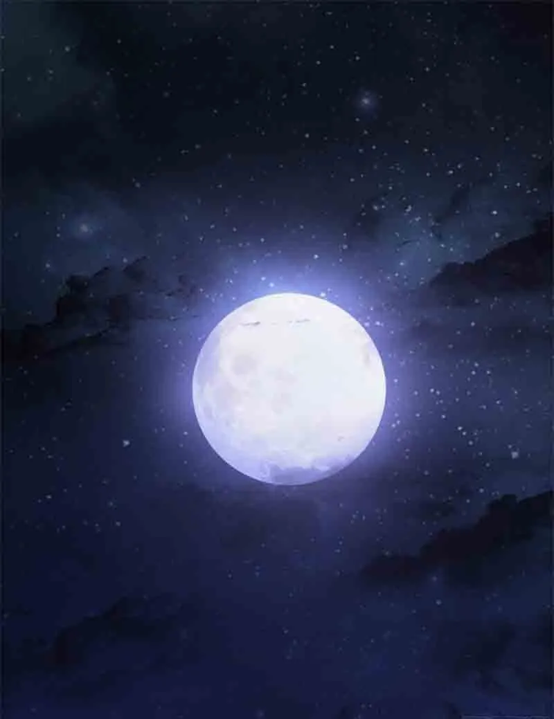 Ta Có Một Gốc Cây Thần Thoại Chapter 1 - Trang 2