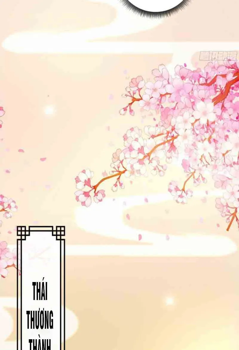 Ta Có Một Gốc Cây Thần Thoại Chapter 1 - Trang 32