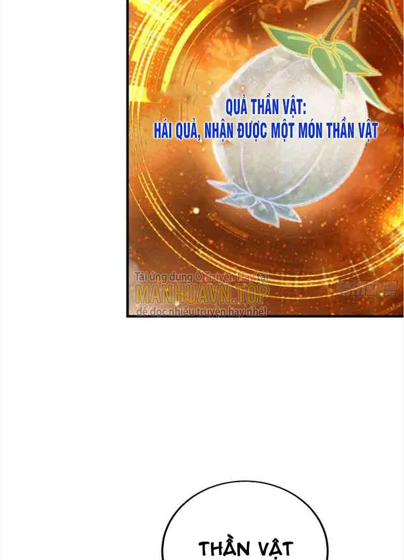 Ta Có Một Gốc Cây Thần Thoại Chapter 2 - Trang 12