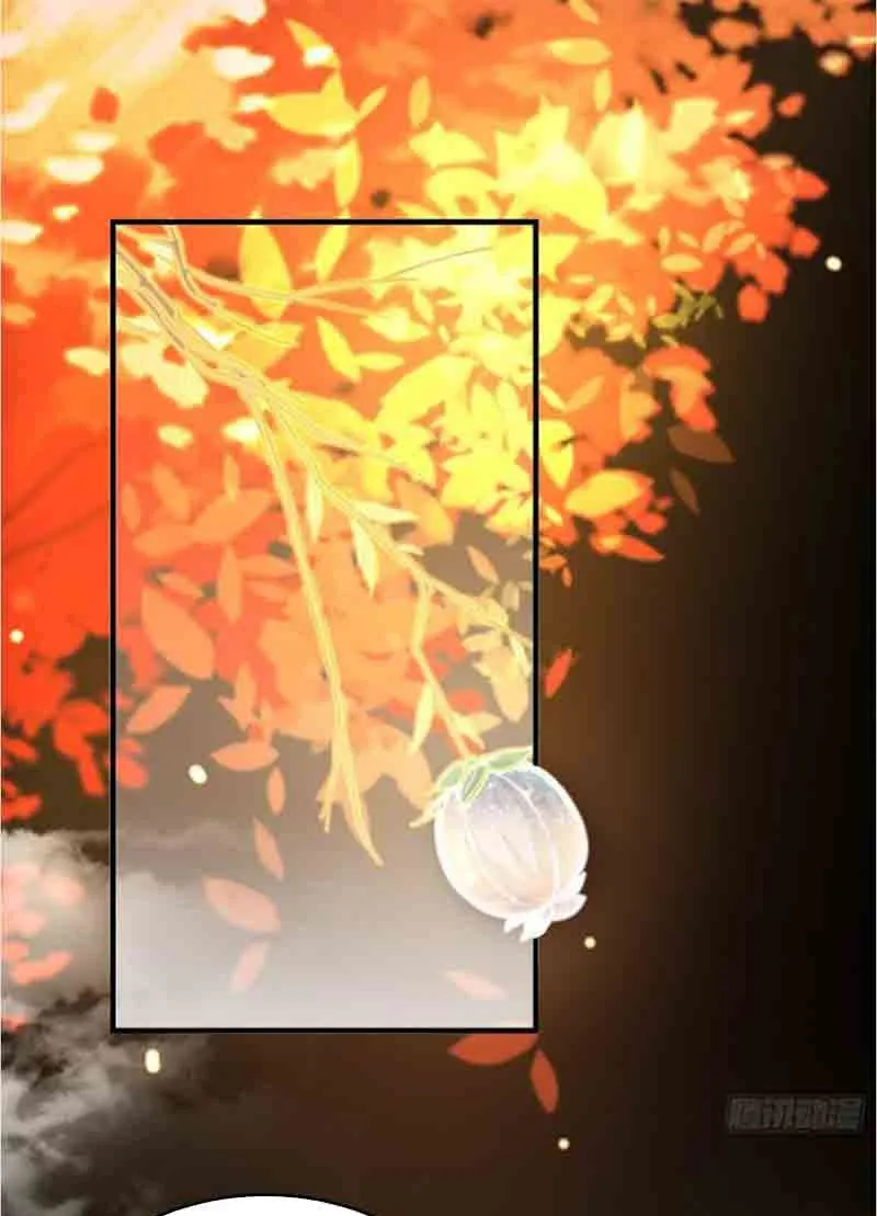 Ta Có Một Gốc Cây Thần Thoại Chapter 2 - Trang 2