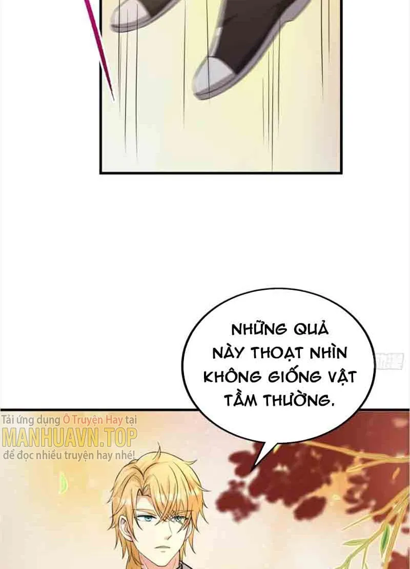 Ta Có Một Gốc Cây Thần Thoại Chapter 2 - Trang 9