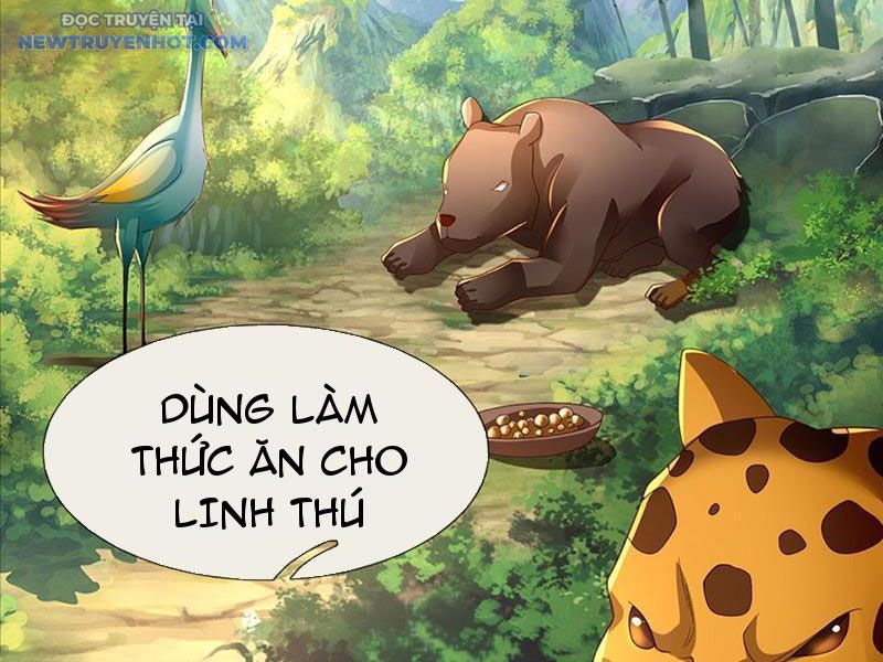 Ta Có Thể Cướp Đoạt Cơ Duyên Chapter 2 - Trang 12