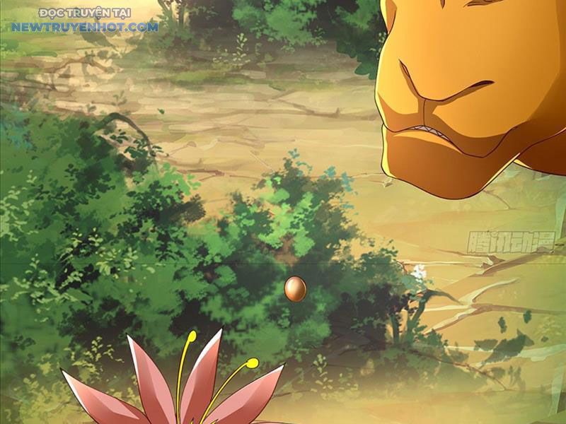 Ta Có Thể Cướp Đoạt Cơ Duyên Chapter 2 - Trang 13