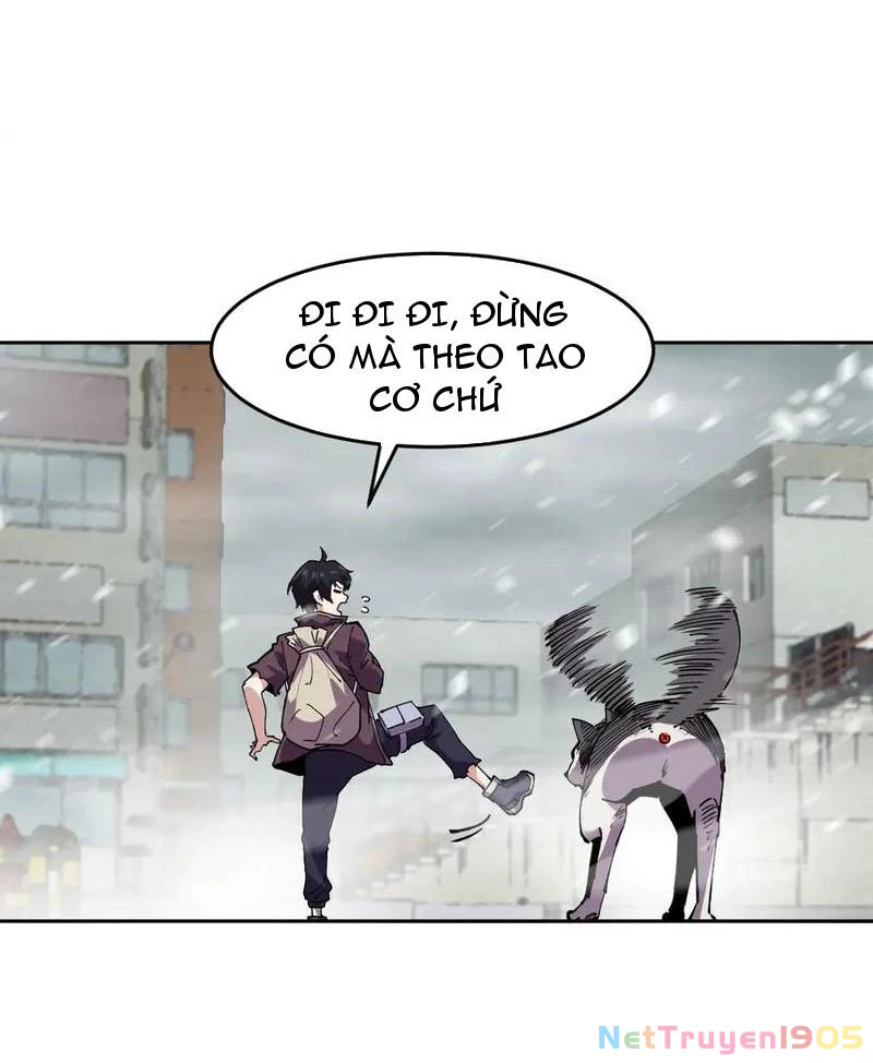 Ta Có Thể Nhìn Thấy Quy Tắc Cấm Khu Chapter 13 - Trang 17