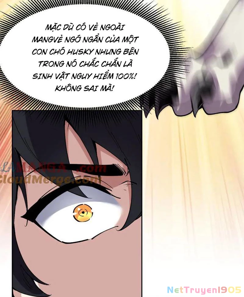 Ta Có Thể Nhìn Thấy Quy Tắc Cấm Khu Chapter 13 - Trang 8