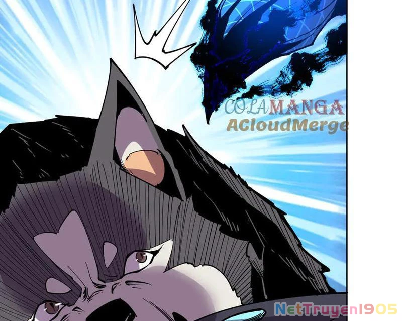 Ta Có Thể Nhìn Thấy Quy Tắc Cấm Khu Chapter 14 - Trang 14
