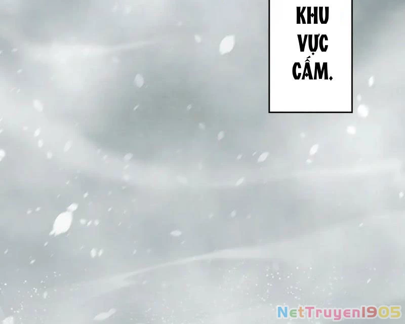 Ta Có Thể Nhìn Thấy Quy Tắc Cấm Khu Chapter 15 - Trang 49