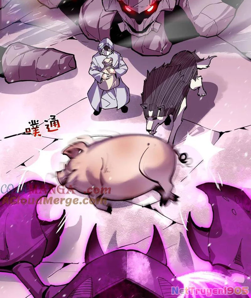 Ta Có Thể Nhìn Thấy Quy Tắc Cấm Khu Chapter 17 - Trang 49