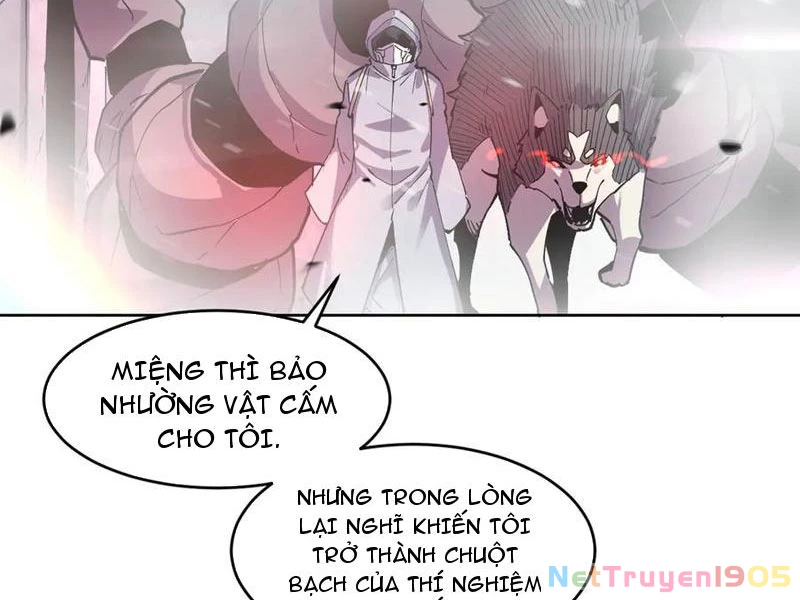 Ta Có Thể Nhìn Thấy Quy Tắc Cấm Khu Chapter 19 - Trang 14