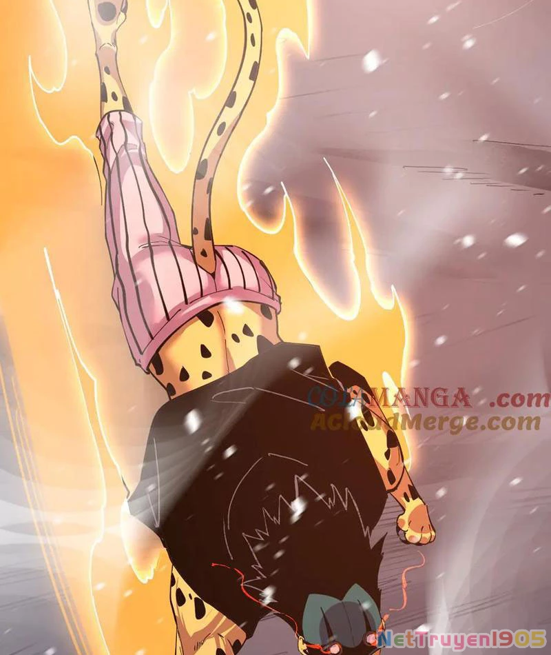 Ta Có Thể Nhìn Thấy Quy Tắc Cấm Khu Chapter 26 - Trang 33