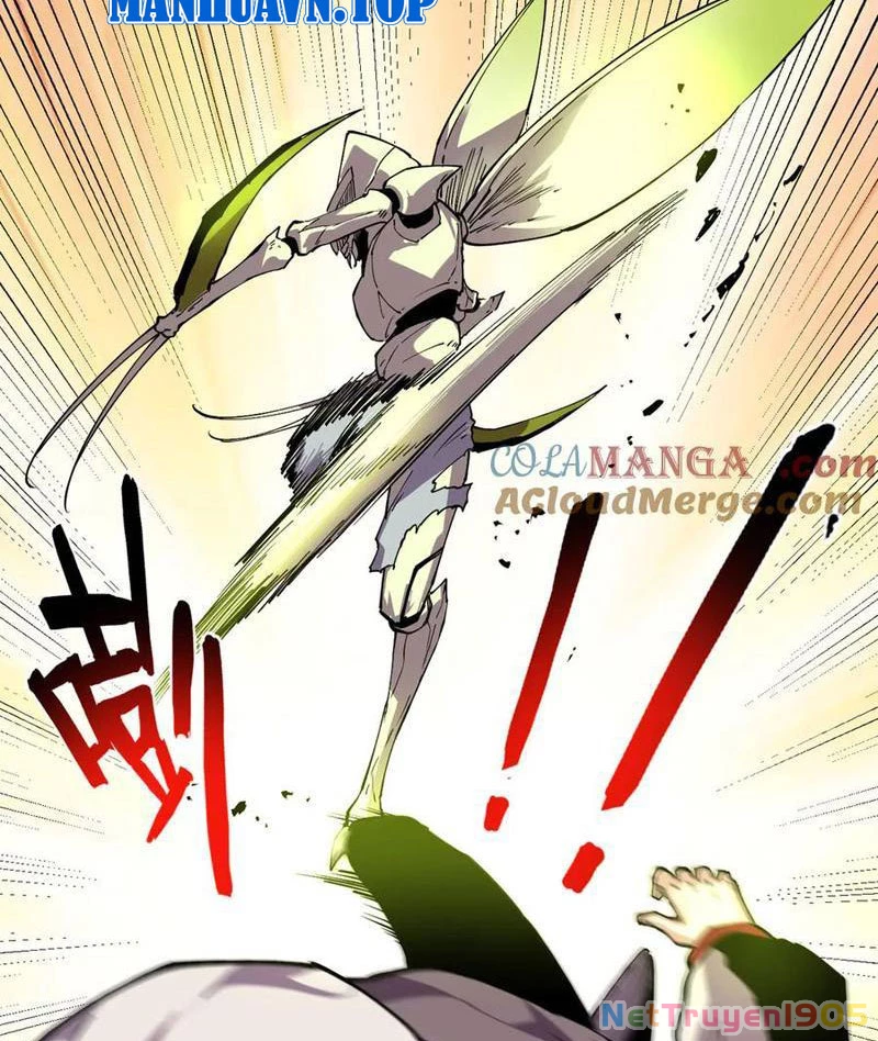 Ta Có Thể Nhìn Thấy Quy Tắc Cấm Khu Chapter 34 - Trang 33