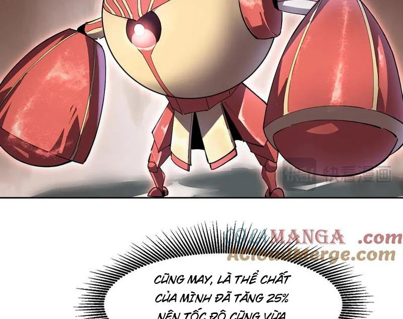 Ta Có Thể Nhìn Thấy Quy Tắc Cấm Khu Chapter 38 - Trang 11