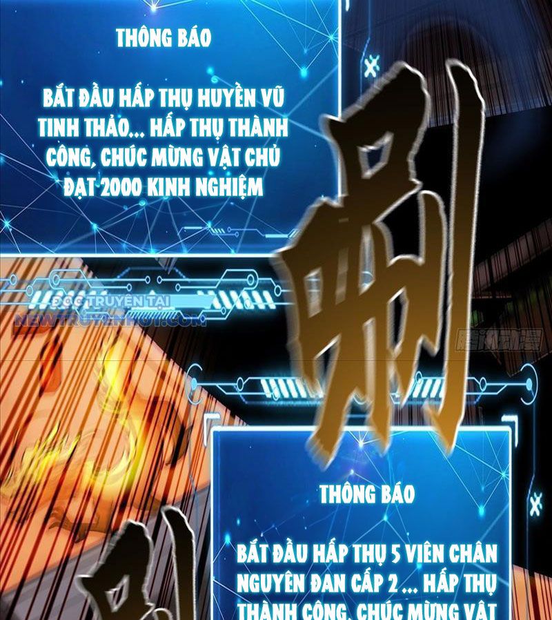 Ta Có Tốc Độ Đánh Nhanh Gấp Trăm Vạn Lần Chapter 4 - Trang 36