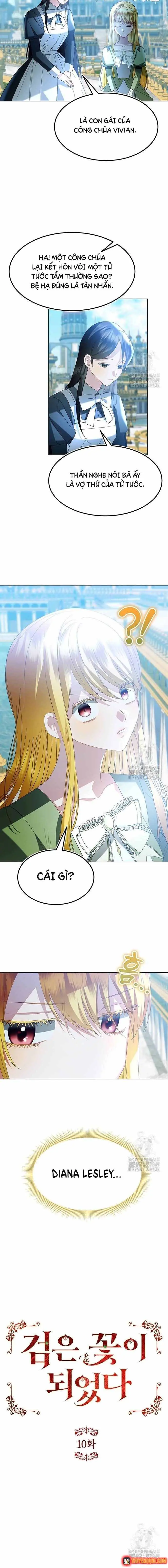 Ta Đã Hóa Thành Hắc Hoa Chapter 10 - Trang 8