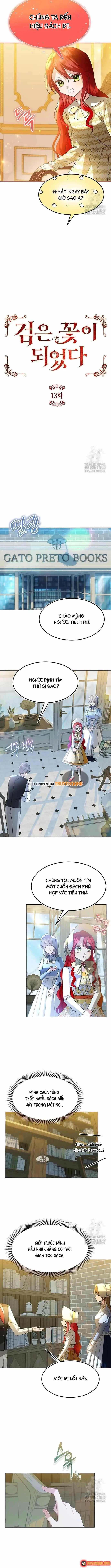 Ta Đã Hóa Thành Hắc Hoa Chapter 13 - Trang 4