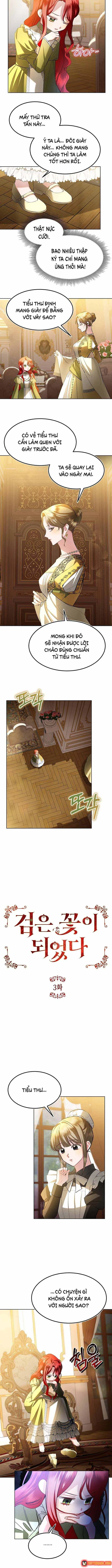 Ta Đã Hóa Thành Hắc Hoa Chapter 3 - Trang 4