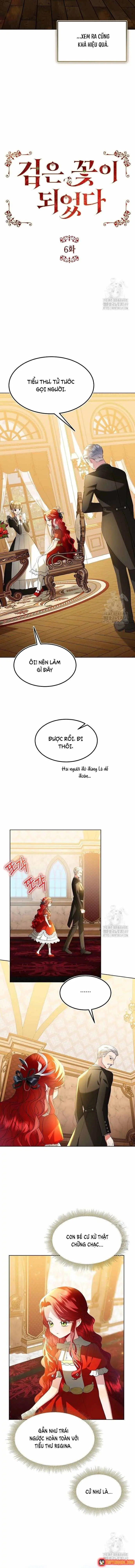 Ta Đã Hóa Thành Hắc Hoa Chapter 6 - Trang 5