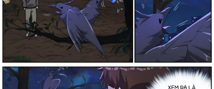 Ta Đột Nhiên Thành Tiên, Làm Sao Bây Giờ Chapter 83 - Trang 12