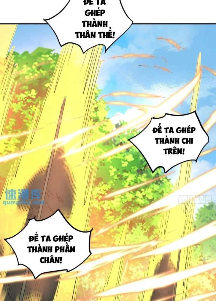 Ta Dựa Vào Body Shaming Tu Thành Đại Lão Chapter 38 - Trang 6