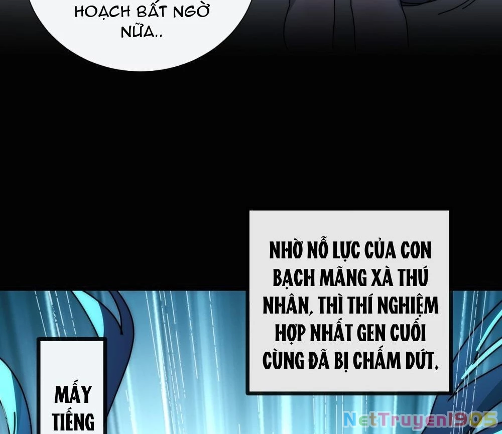 Ta dựa vào tu tiên xưng bá tận thế Chapter 12 - Trang 10