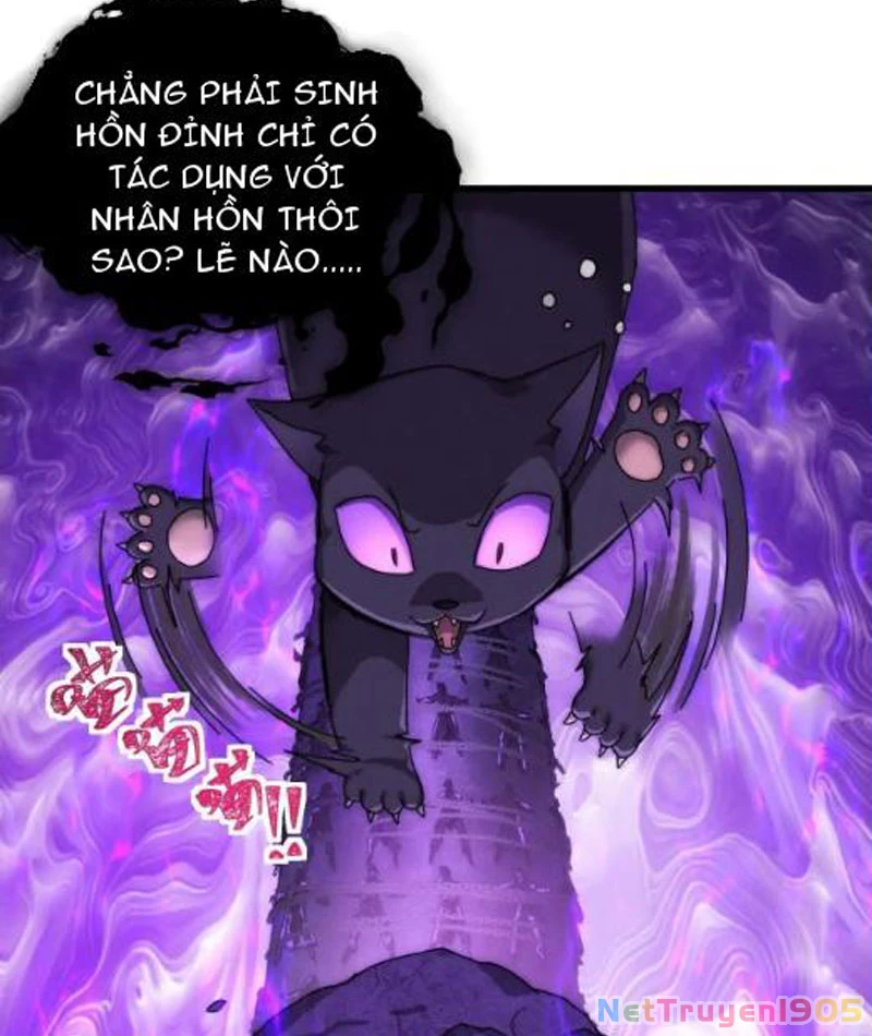 Ta dựa vào tu tiên xưng bá tận thế Chapter 14 - Trang 8